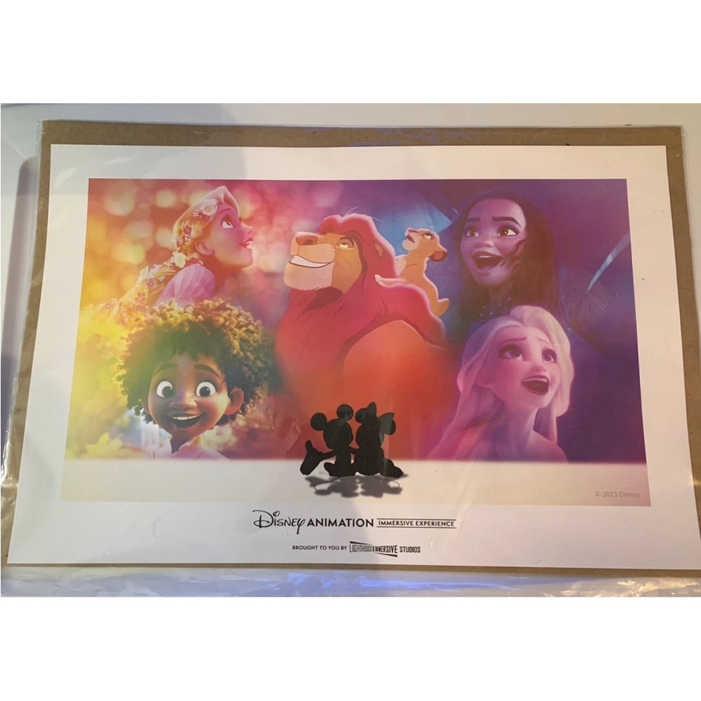 New Disney animation immersive experience print poster 27 X 11‎